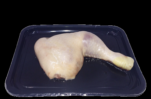 SKIN TECHNOLOGY  | Blog